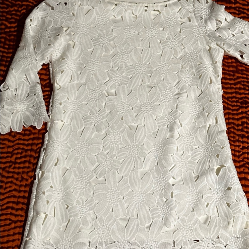 Felicity & Coco lace dress with 3/4 length sleeves